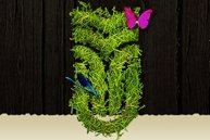 X. Kárpát-medencei Környezettudományi Konferencia
