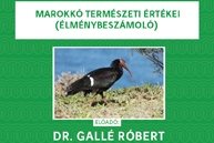 Egyetemi Esték élménybeszámolóval fűszerezve